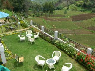 Mount N Mist Hotel Nainital Kültér fotó